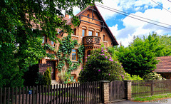 Happy Fence Friday !