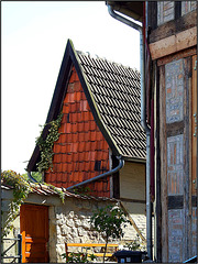 Quedlinburg, Harz 274