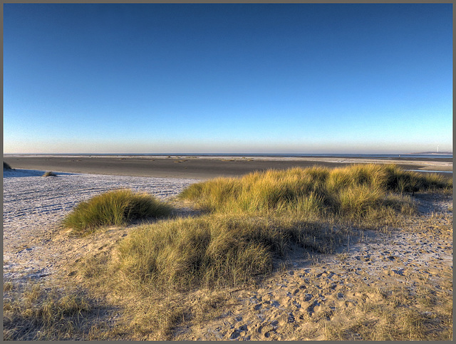 North sea Beach