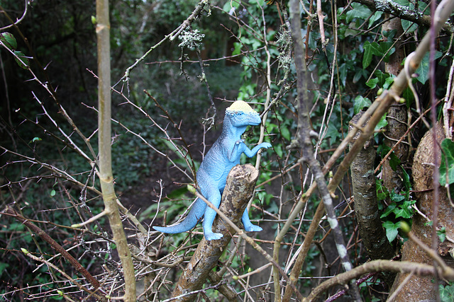 Dinosaur forest