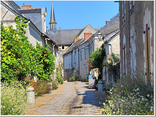 Main street in Béhuard :-)