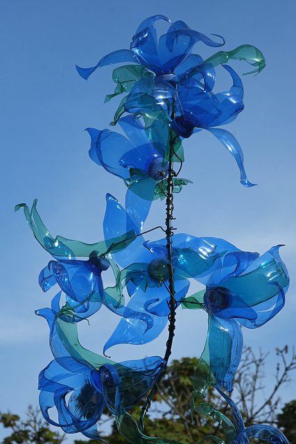 Blaublütig