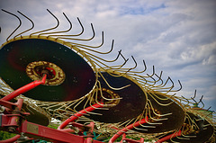 Heuschreckenkarussel