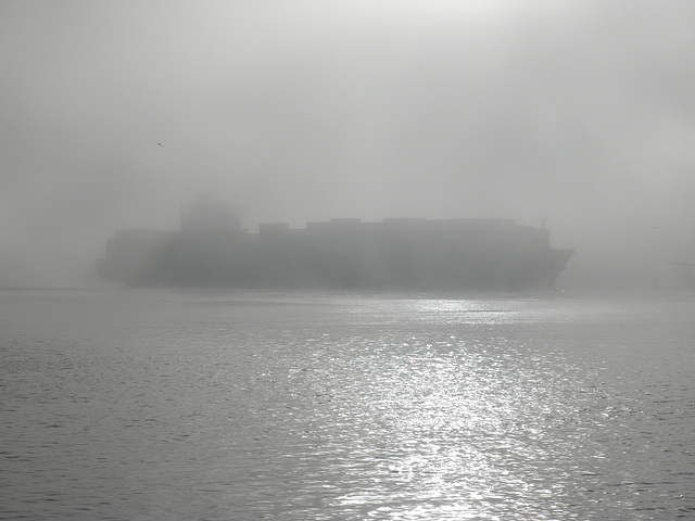 Containerschiff  im Nebel