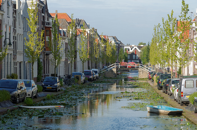 Le canal aux nénuphars