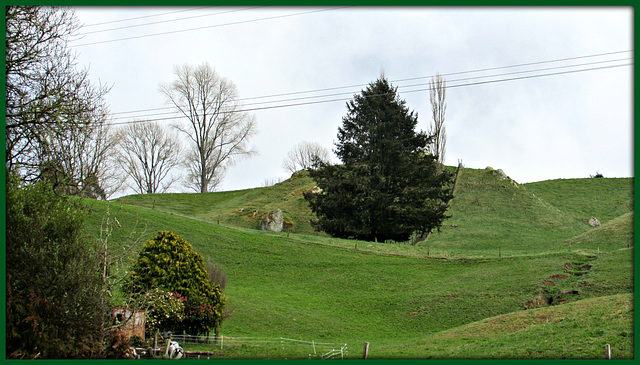 A Green Landscape.