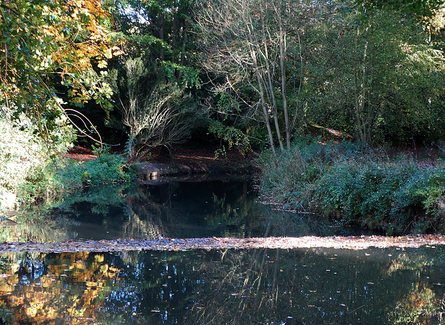 Autumn Light and Reflections