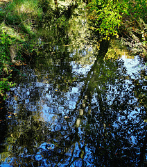 Reflecting in Wallsend Park