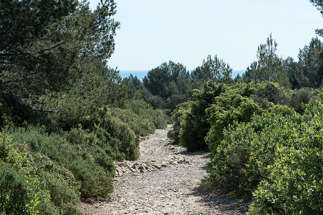 Montagne de la Clape: Weg zum Gouffre de l'Oeil Doux - 2015-04-24_D4_DSC0643