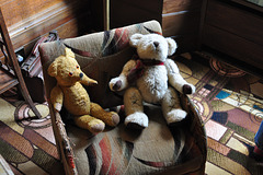 Avebury Manor Bears