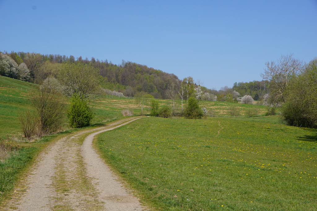 Spaziergang im April VIII