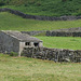 HWW ~ The walls of Reeth.