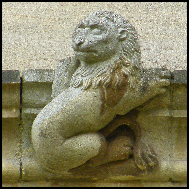 lion grotesque