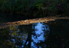 Leafy weir at Wallsend Park