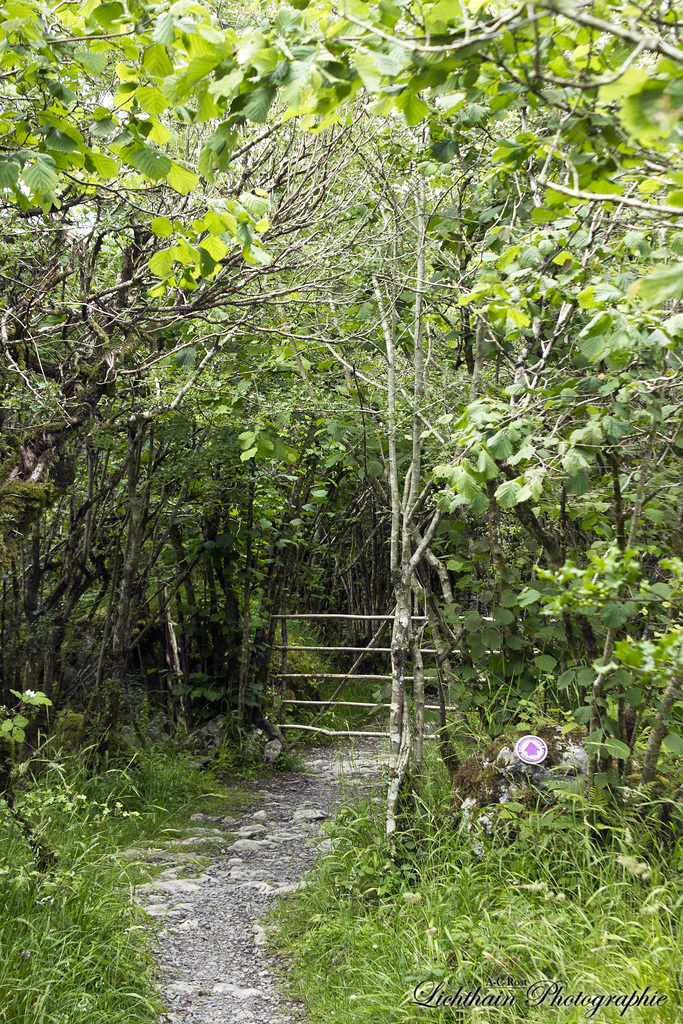 Holy Well