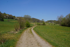 Spaziergang im April IX