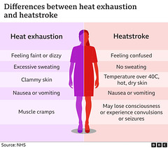 shw - heat stoke or heat exhaustion ?