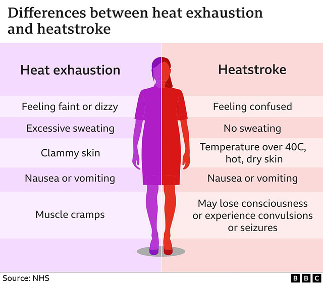 shw - heat stoke or heat exhaustion ?