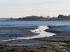 A view across Langstone Harbour