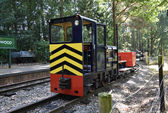 sawrlmtsep92023 (1114)