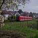BÖ0036895