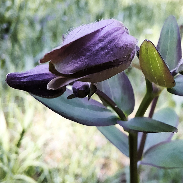 bald ist es so weit ... bald ist es so weit ...