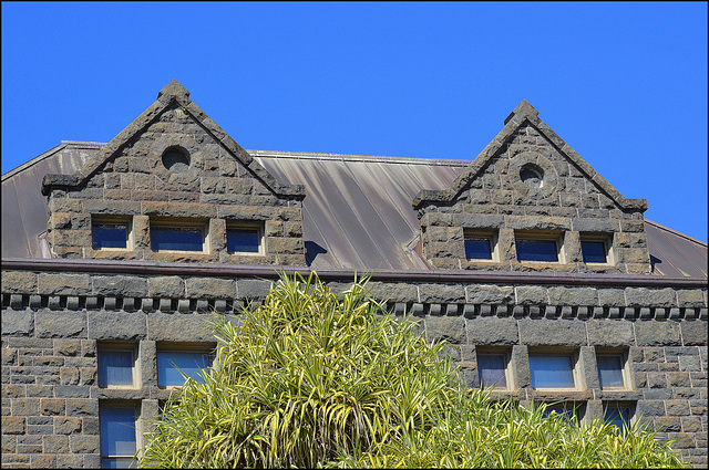 detail - Bishop Museum