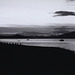Loch Fyne