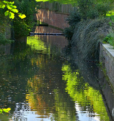 Reflecting in Wallsend Park