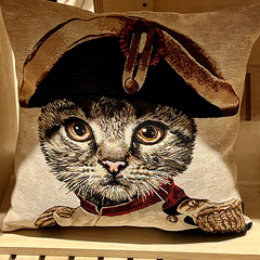 Paris 2024 – Invalides – Chatpoleon