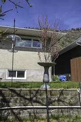 SSC - Hip level