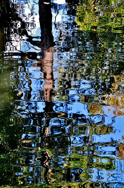 Reflecting in Wallsend Park