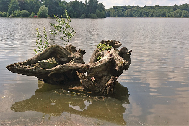 Außenmühlenteich