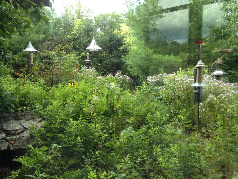 feeder garden