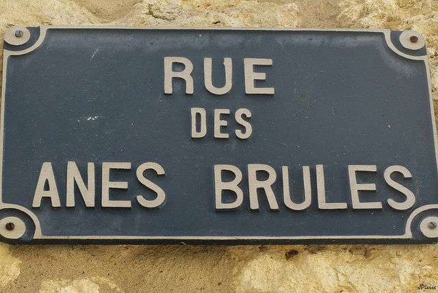 Rue où  l'on  trouve un nombre incalculable de  dos d'ânes...