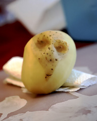 La patate