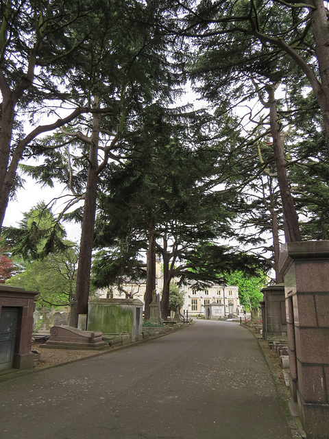 westminster cemetery, ealing, london