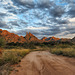 The Cochise Stronghold