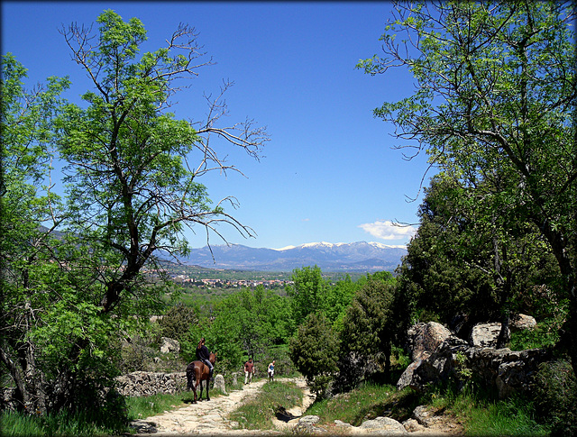 Roman road near El Escorial