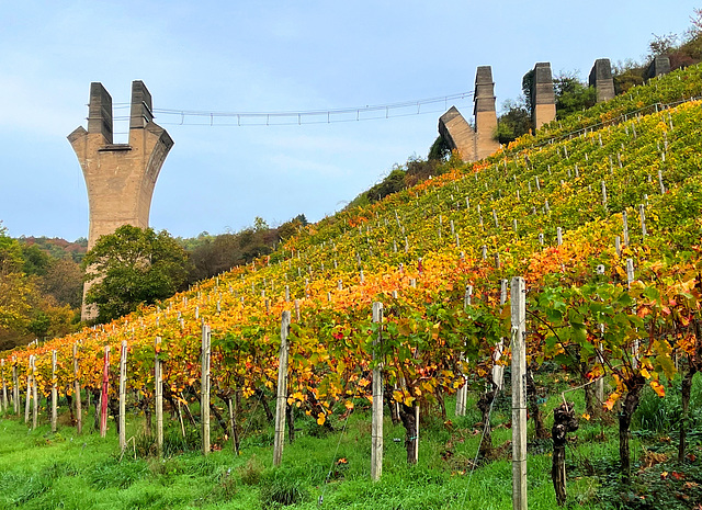 Herbst am Kletterpark