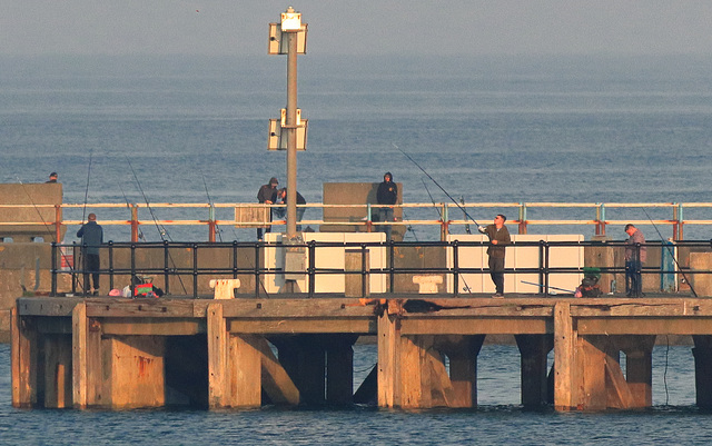 EOS 90D Peter Harriman 19 01 09 05568 fishingPleasurePierStonePier dpp EOS 90D Peter Harriman 19 01 09 05568 fishingPleasurePierStonePier dpp