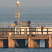 EOS 90D Peter Harriman 19 01 09 05568 fishingPleasurePierStonePier dpp