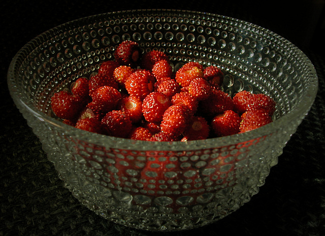 Walderdbeeren zum Nachtisch