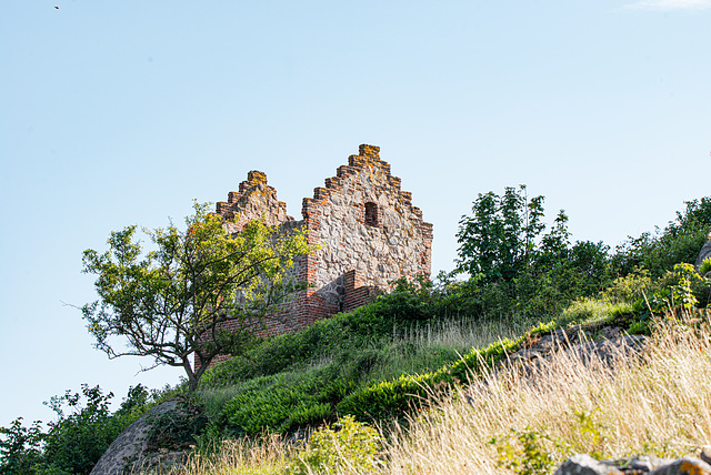 20210812- DSC7392