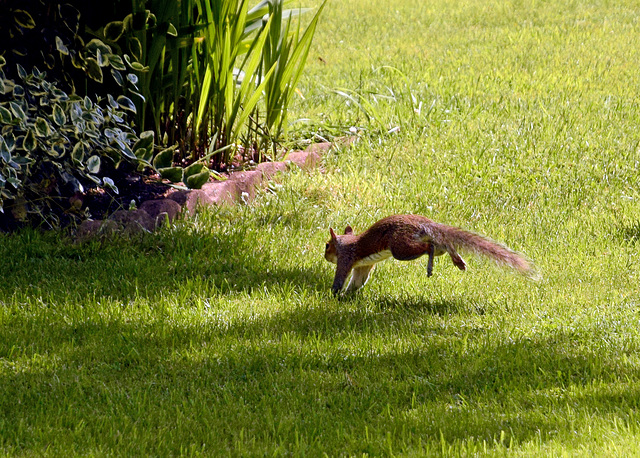 Fleeing the crime scene!