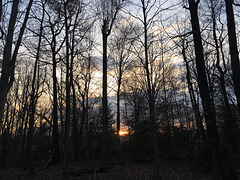 IMG 4121
