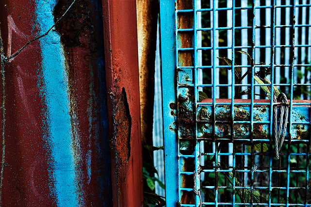 Blue And Rust