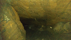 Bennohöhle