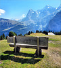 A bench with a view.