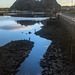 Denny's Dock at Low Tide